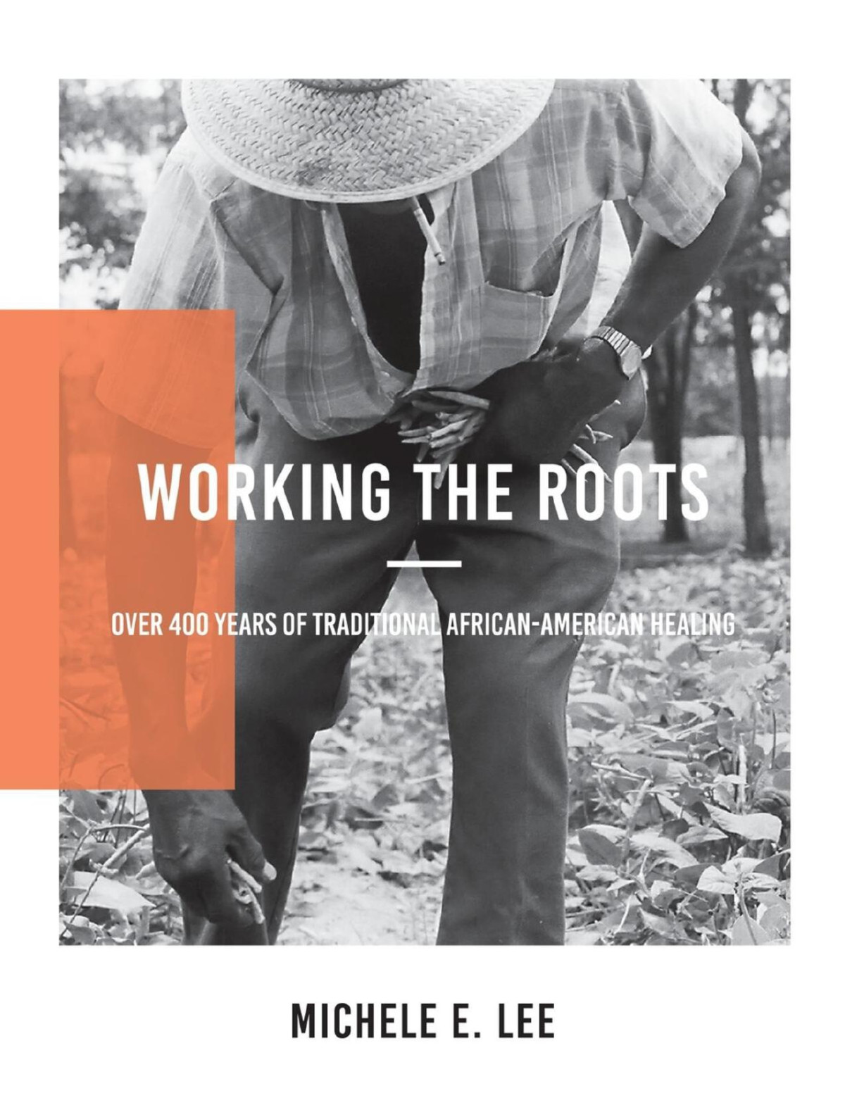 Working The Roots Michele Elizabeth Lee