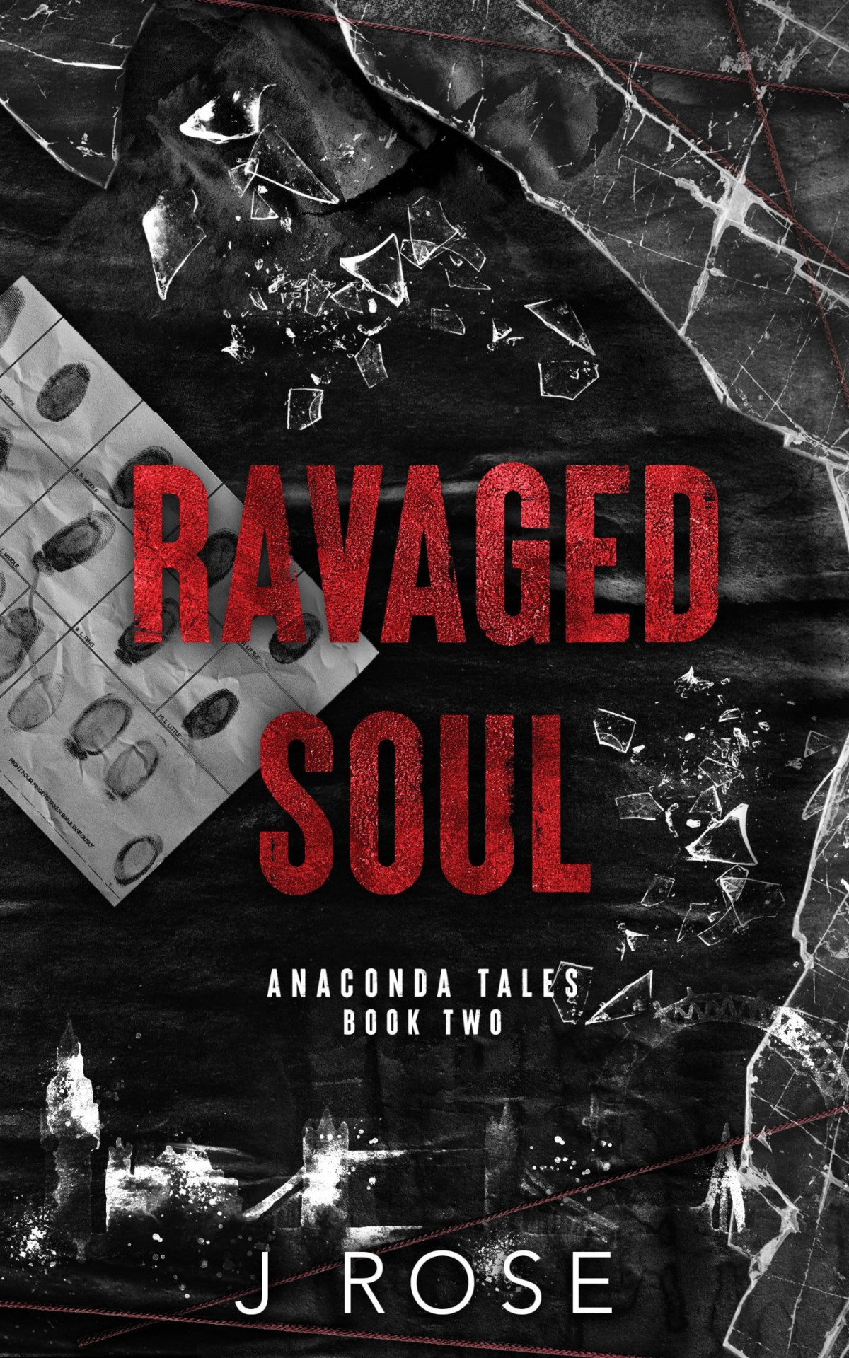 Ravaged Soul A Dark Reverse Harem Romance Anaconda Tales Book 2 J Rose