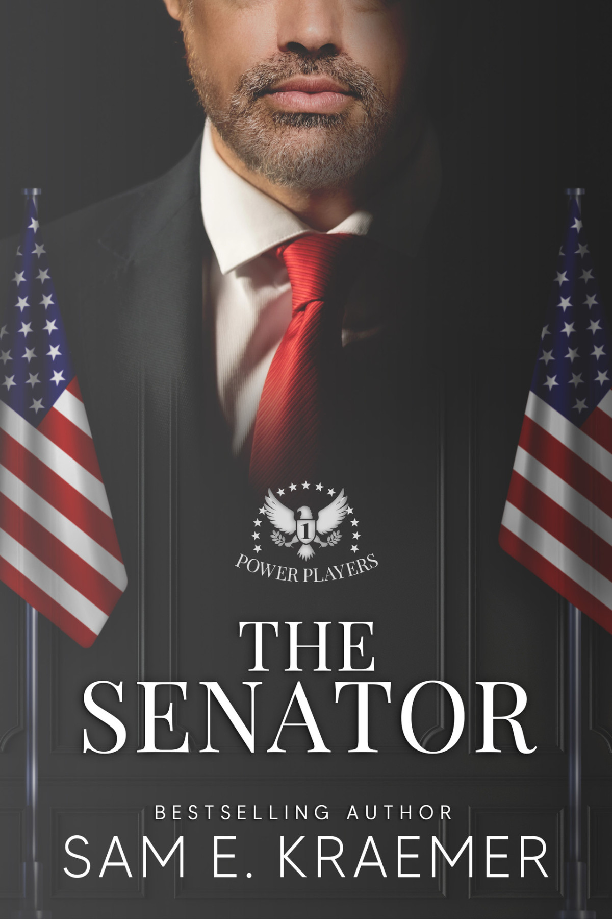 The Senator The Lonely Heroes Series Spinoff Power Players Book 1 Sam E Kraemer
