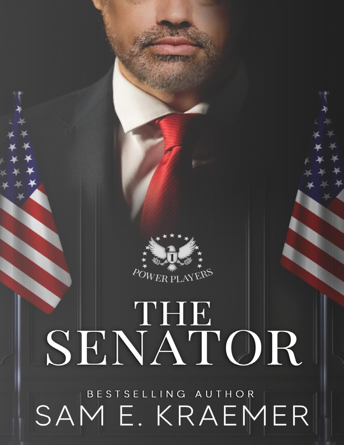 The Senator The Lonely Heroes Series Spinoff Power Players Book 1 Sam E Kraemer