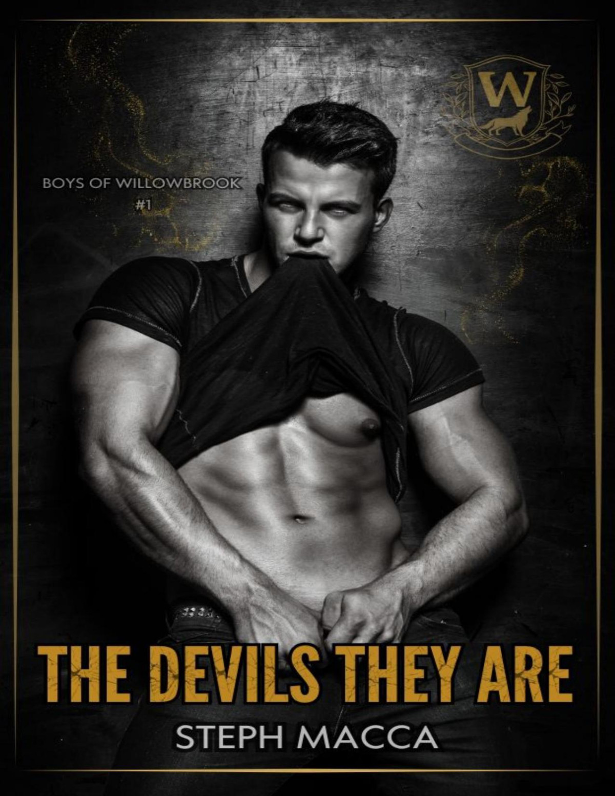 The Devils They Are An Academy Enemies To Lovers Romance Boys Of Willowbrook Book 1 Steph Macca