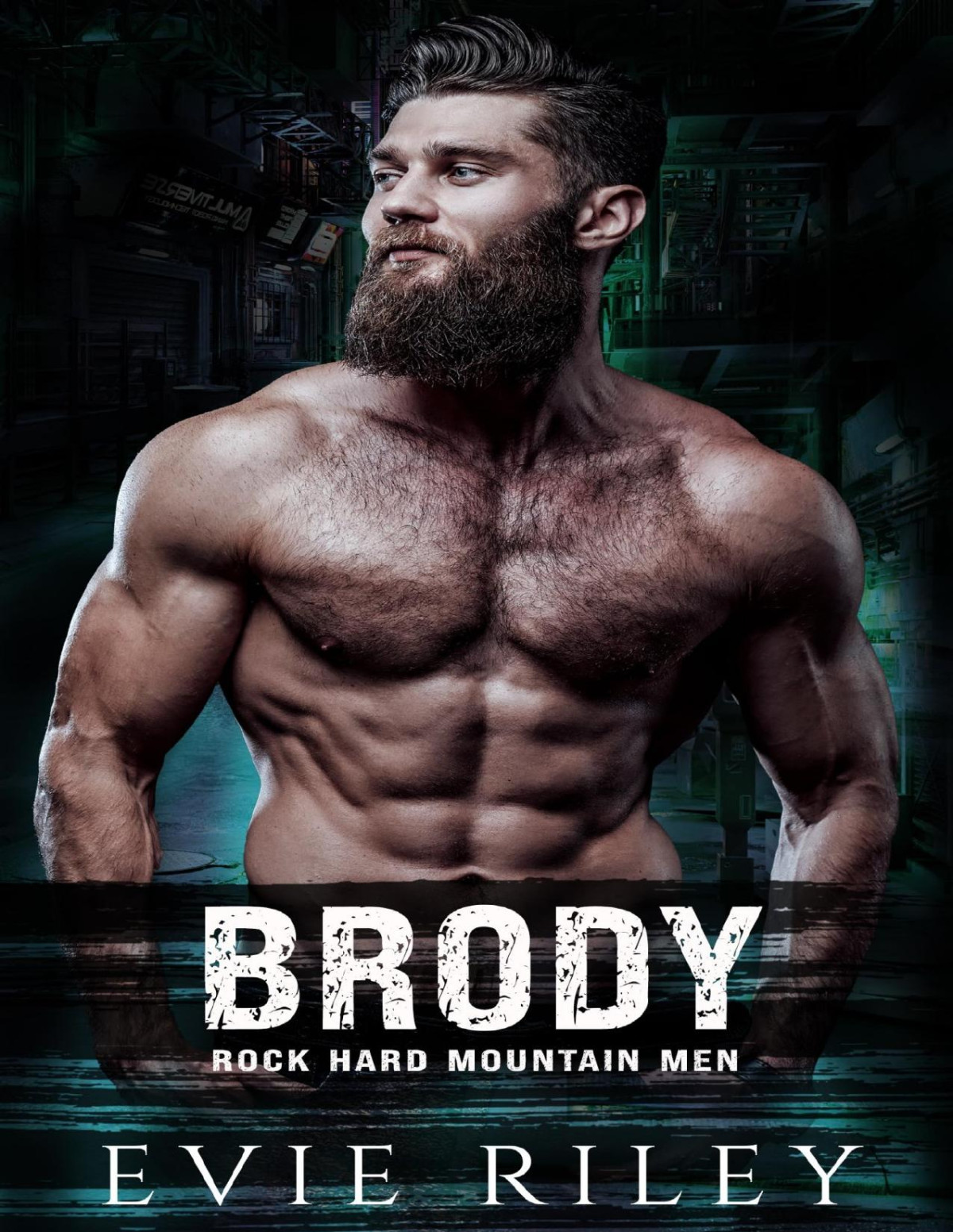 Brody Rock Hard Mountain Men Book 2 Evie Riley