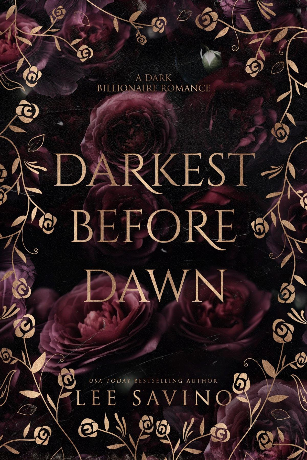 His Perfect Darkness 2 Darkest Before Dawn Lee Savino