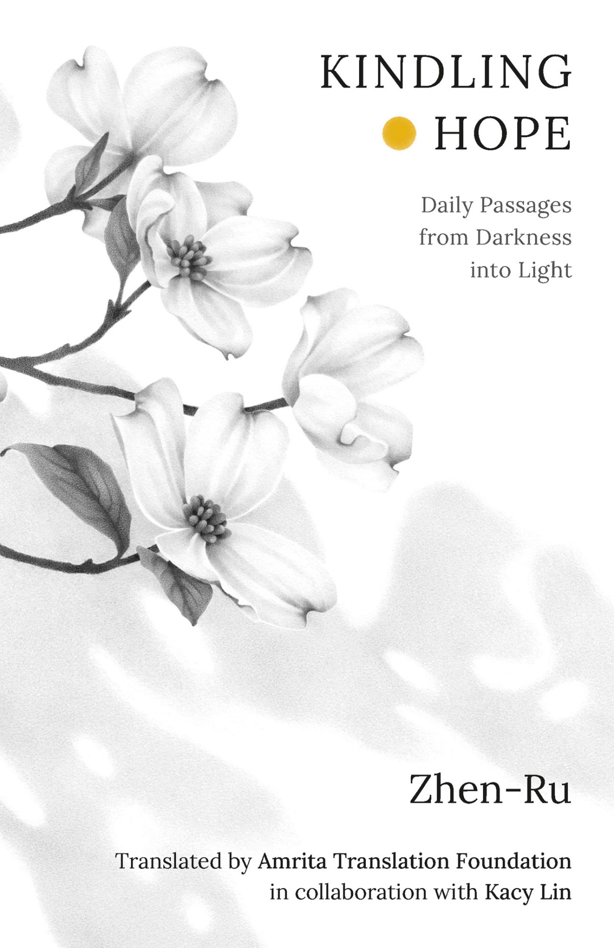 Kindling Hope Daily Passages From Darkness Into Light Zhenru