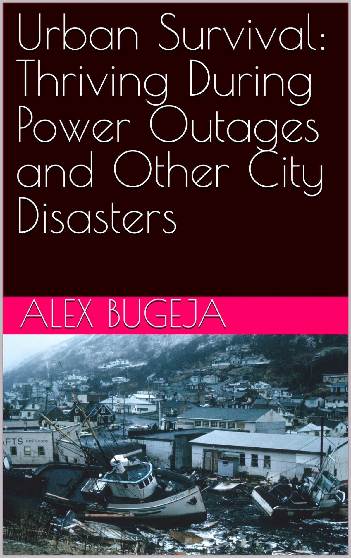 Urban Survival Thriving During Power Outages And Other City Disasters Alex Bugeja