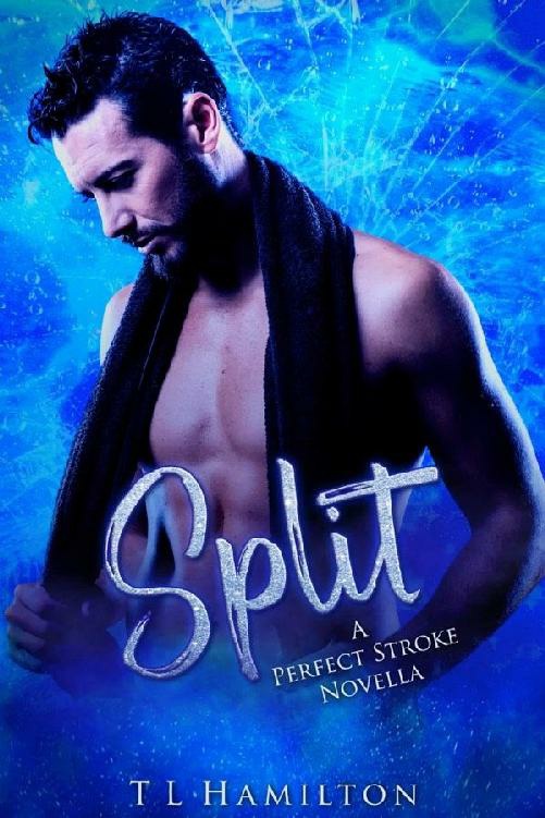 Shatter The Perfect Stroke Series Tl Hamilton