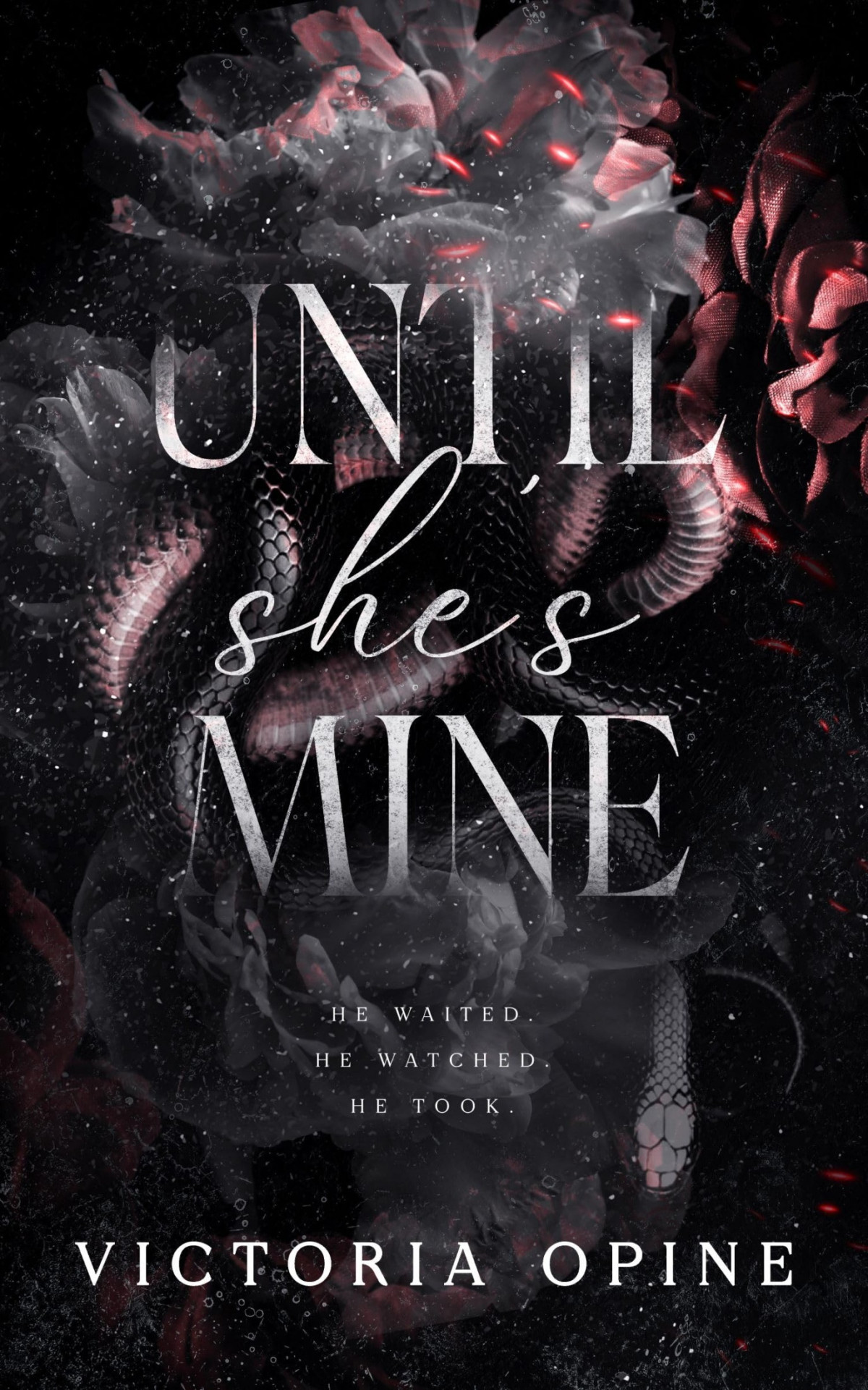Until Shes Mine A Dark Romance Victoria Opine