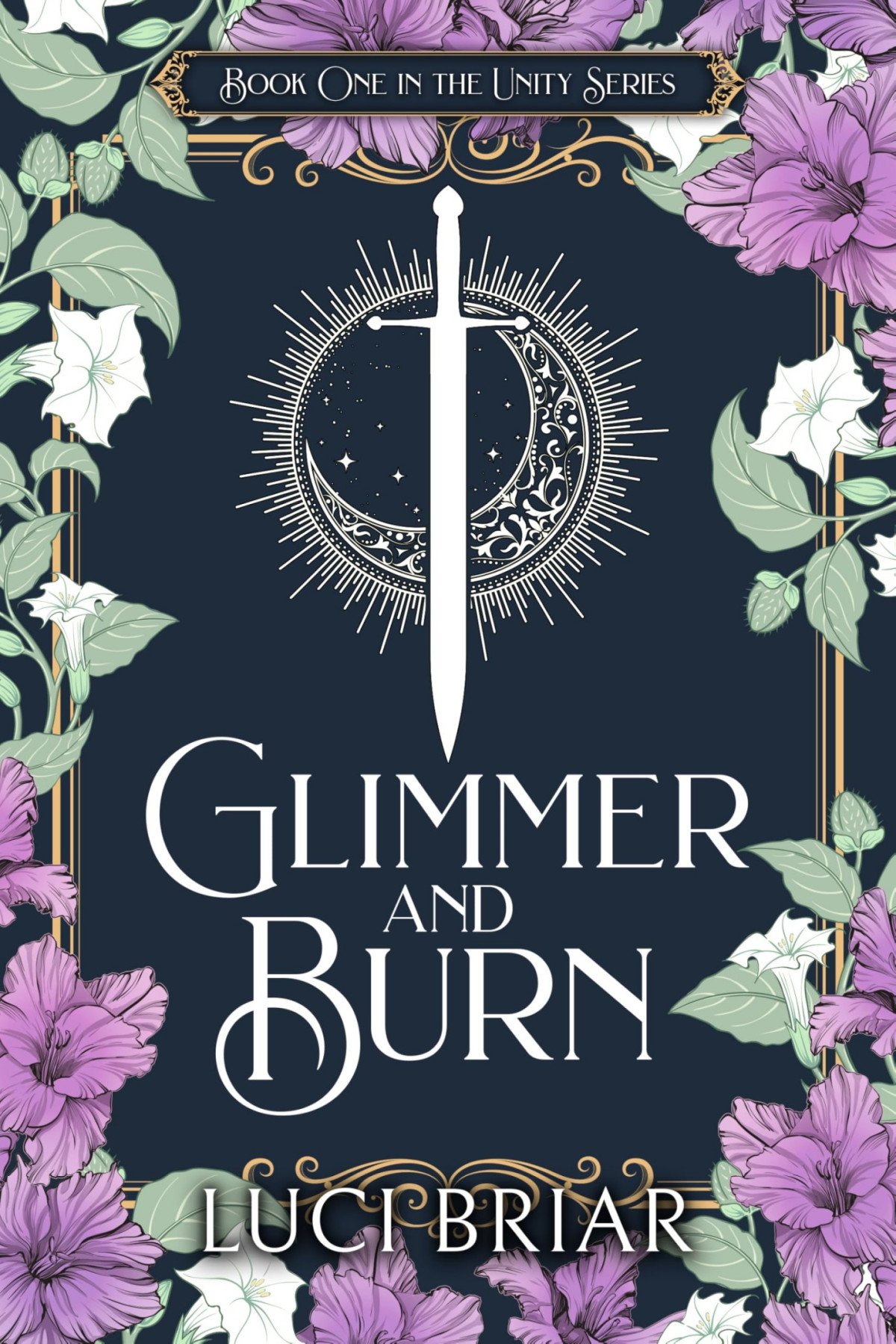 Unity 1 Glimmer And Burn Luci Briar