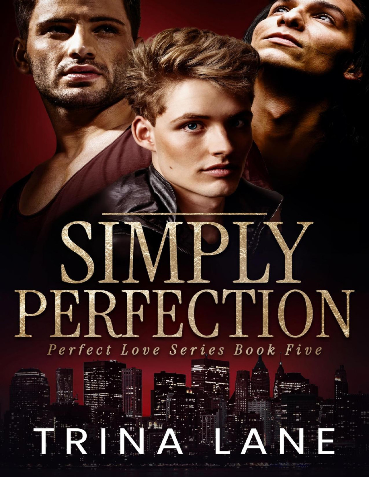 Simply Perfection The Perfect Love Book 5 Trina Lane
