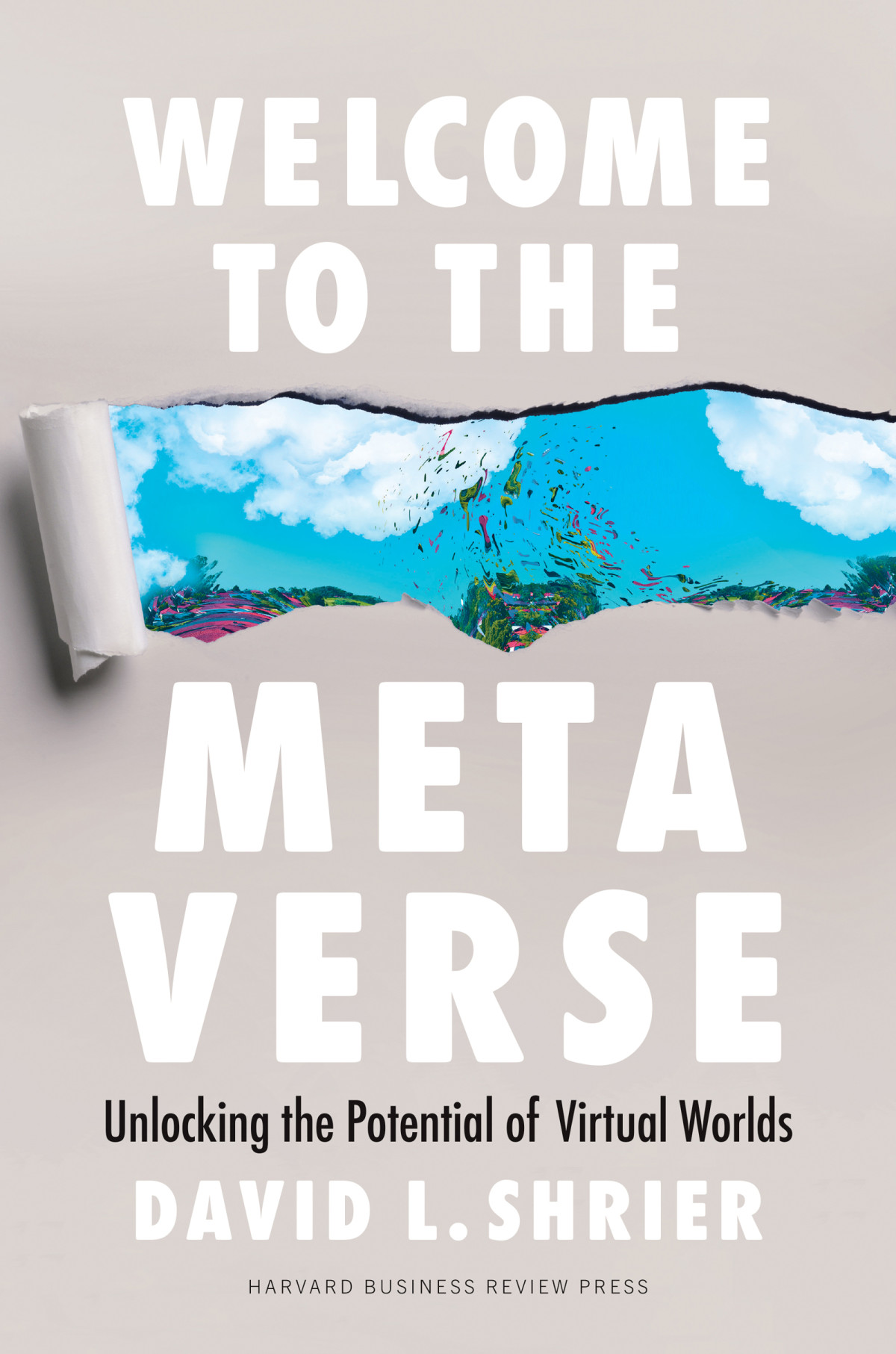 Welcome To The Metaverse David L Shrier