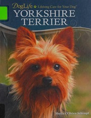 Yorkshire Terrier Schimpf Sheila