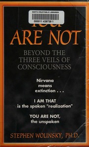 You Are Not Beyond The Three Veils Of Consciousness Wolinsky
