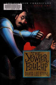 Illmoor Chronicles The David Lee Stone