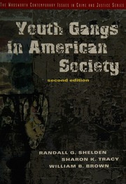 Youth Gangs In American Society Shelden Randall G 1943 Tracy