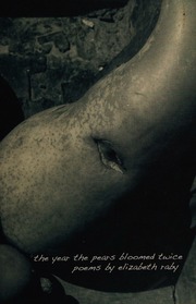 The Year The Pears Bloomed Twice Raby Elizabeth