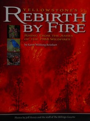 Yellowstones Rebirth By Fire Rising From The Ashes Of The 1988 Wildfires Reinhart