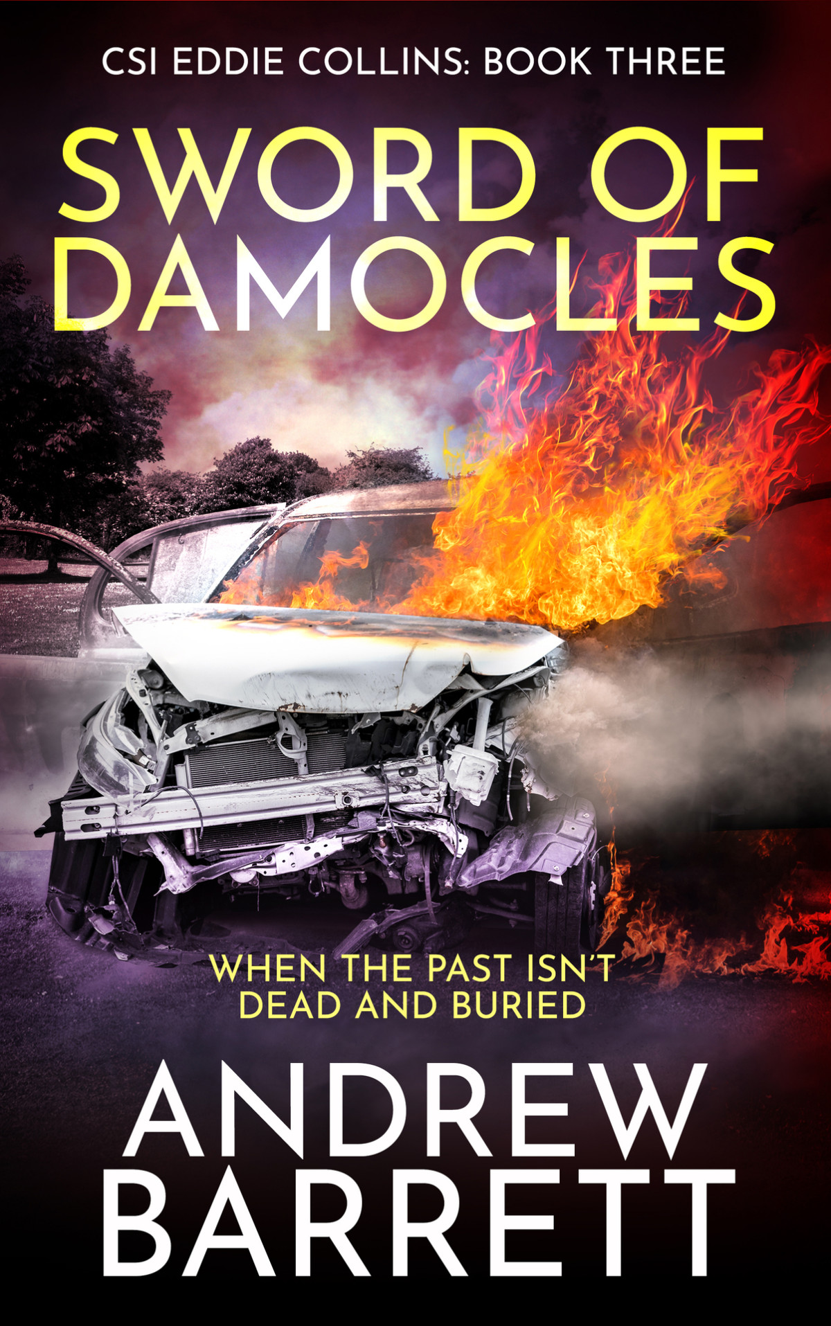 Sword Of Damocles Barrett Andrew