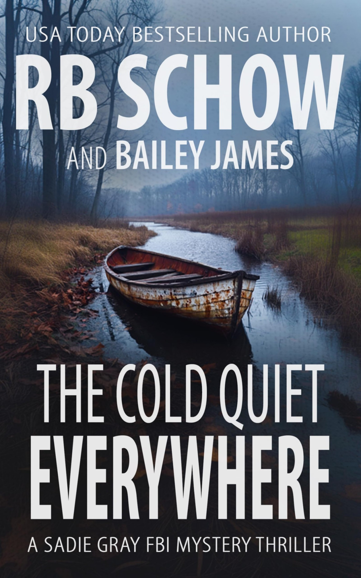 The Cold Quiet Everywhere Rb Schow Bailey James