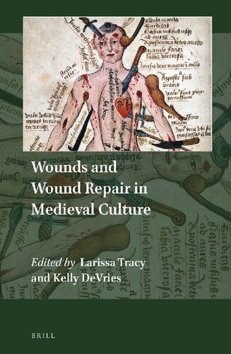 Wounds And Repair In Medieval Culture Larissa Tracy Kelly Devries Eds
