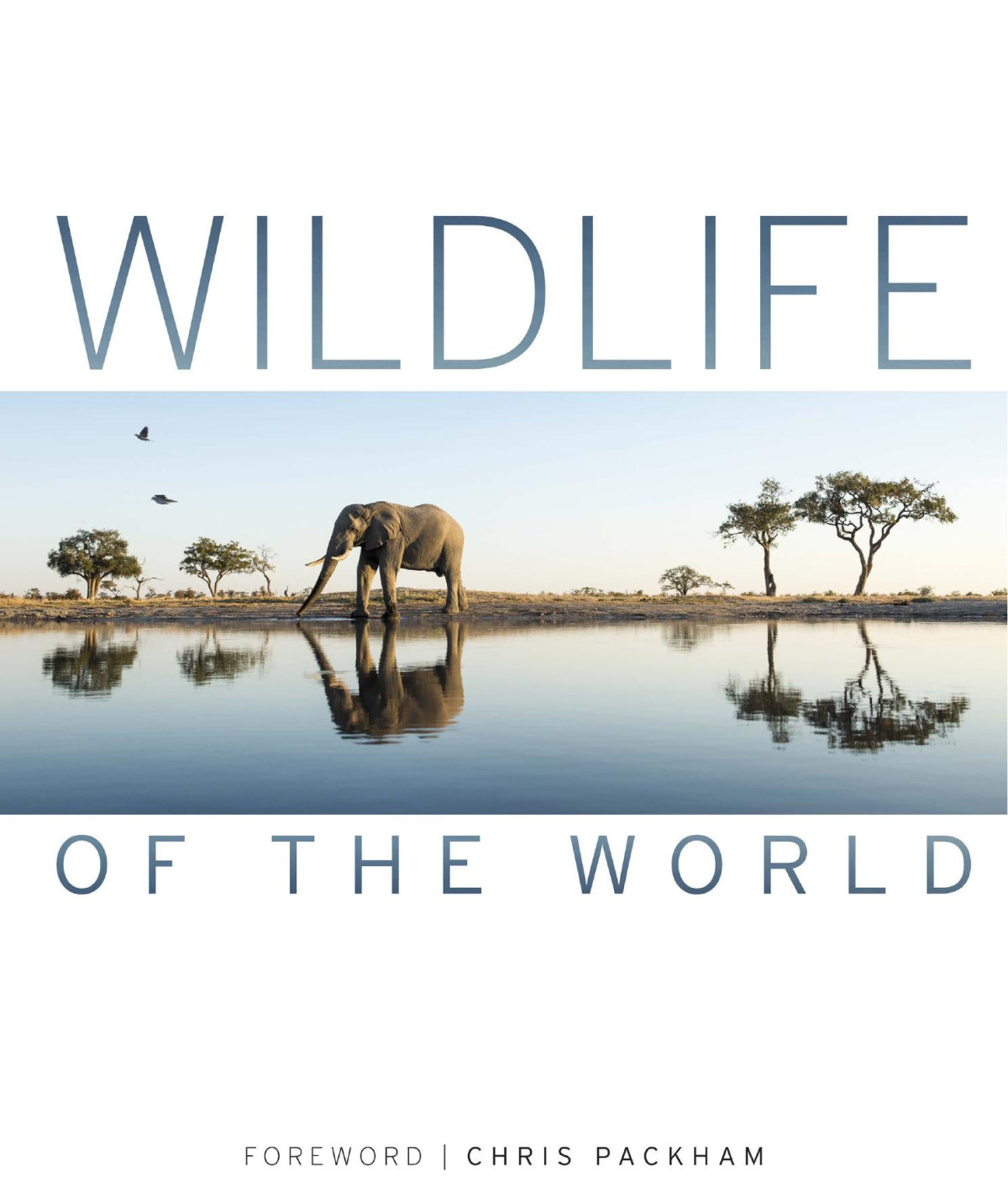 Wildlife Of The World Dorling Kindersley