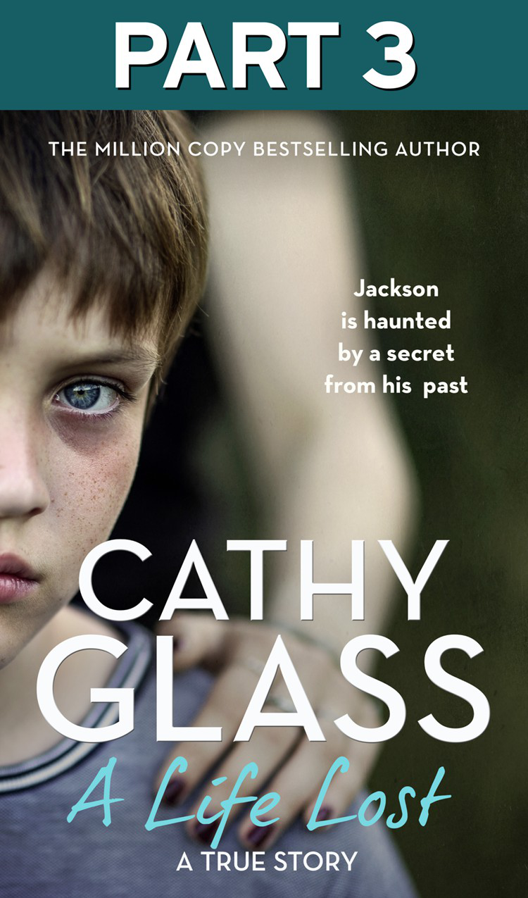 A Life Lost Part 3 Of 3 Cathy Glass Glass Cathy