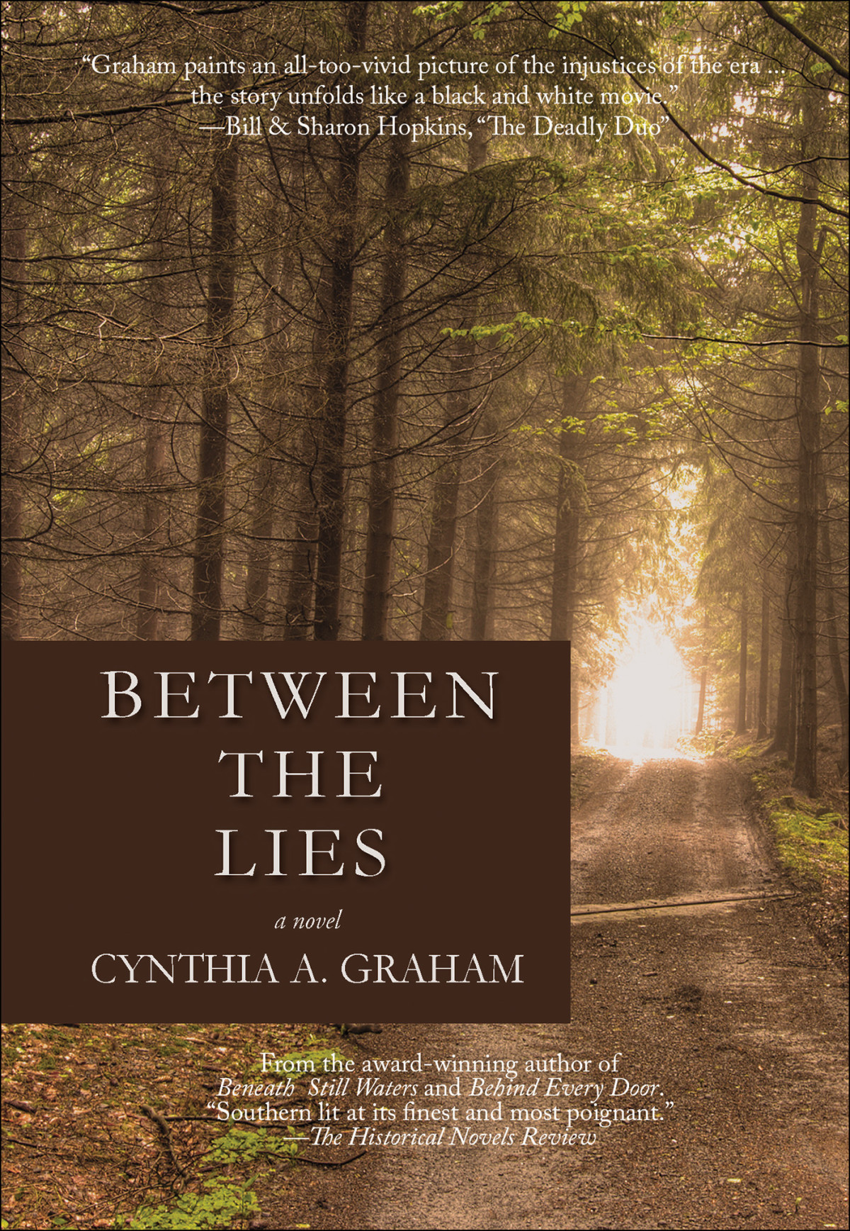 Between The Lies Cynthia A Graham Graham Cynthia A