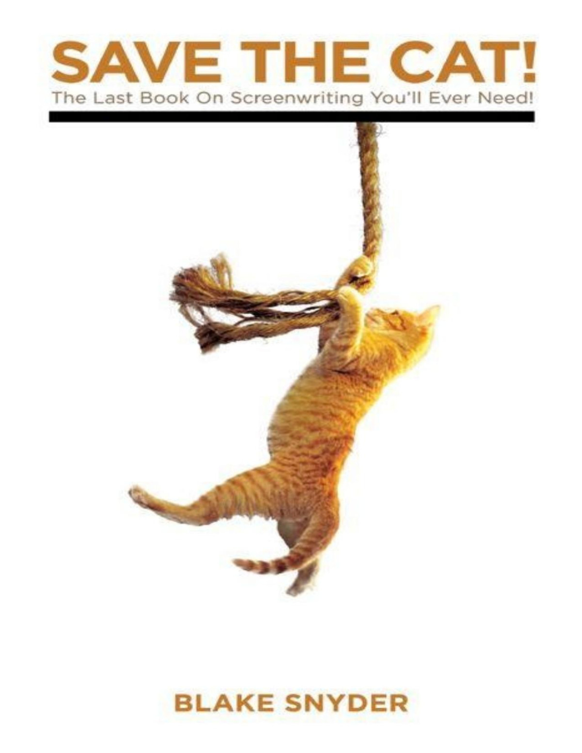 Save The Cat The Last Book On Screenwriting Youll Ever Need Snyder