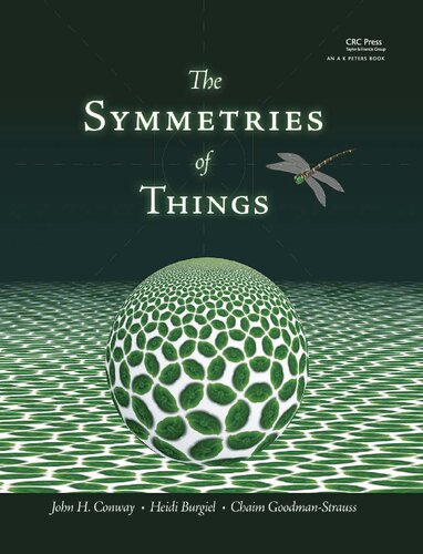 The Symmetries Of Things 1st Edition John H Conway Heidi Burgiel