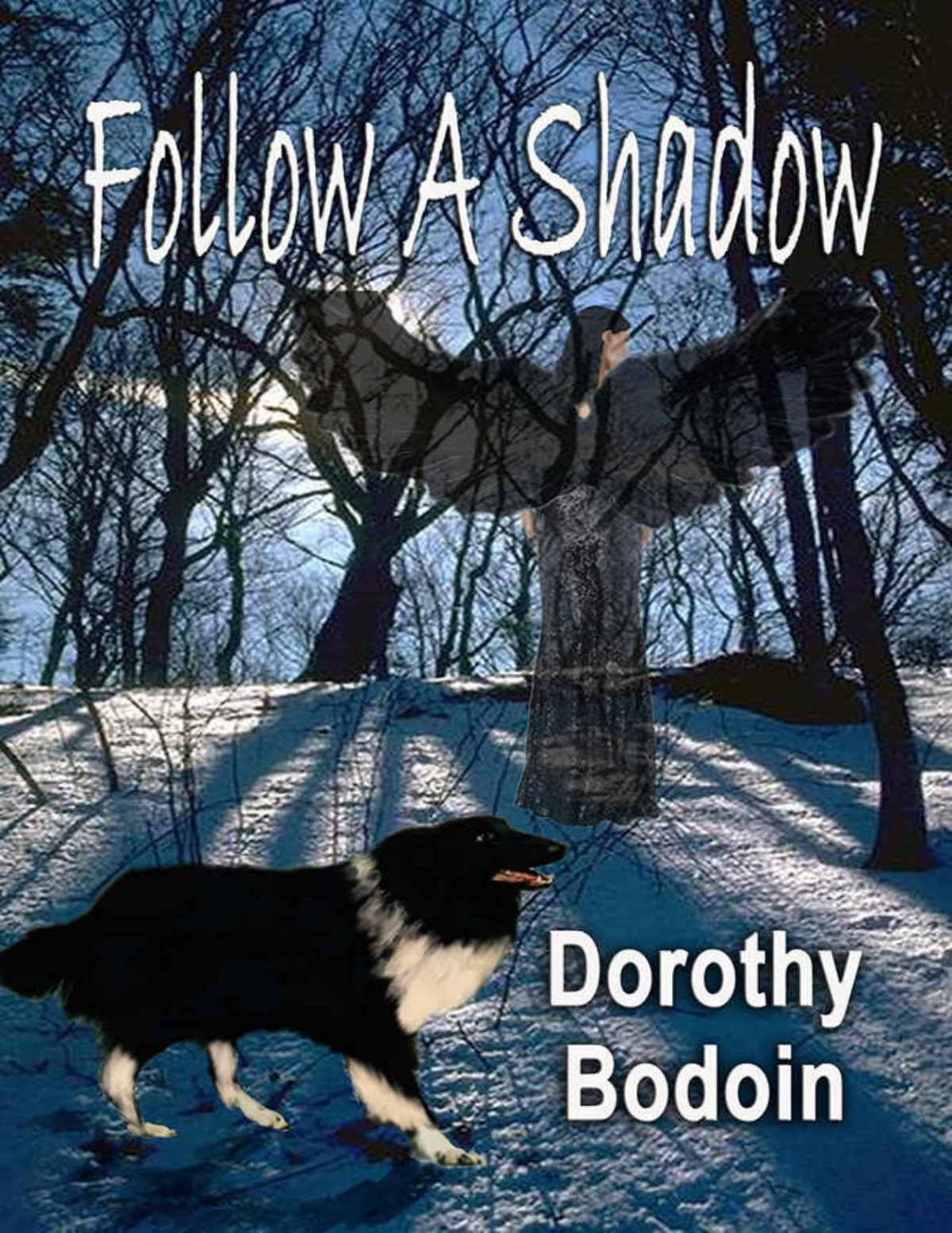 Follow A Shadow The Foxglove Corners Series Book 14 Dorothy Bodoin Bodoin