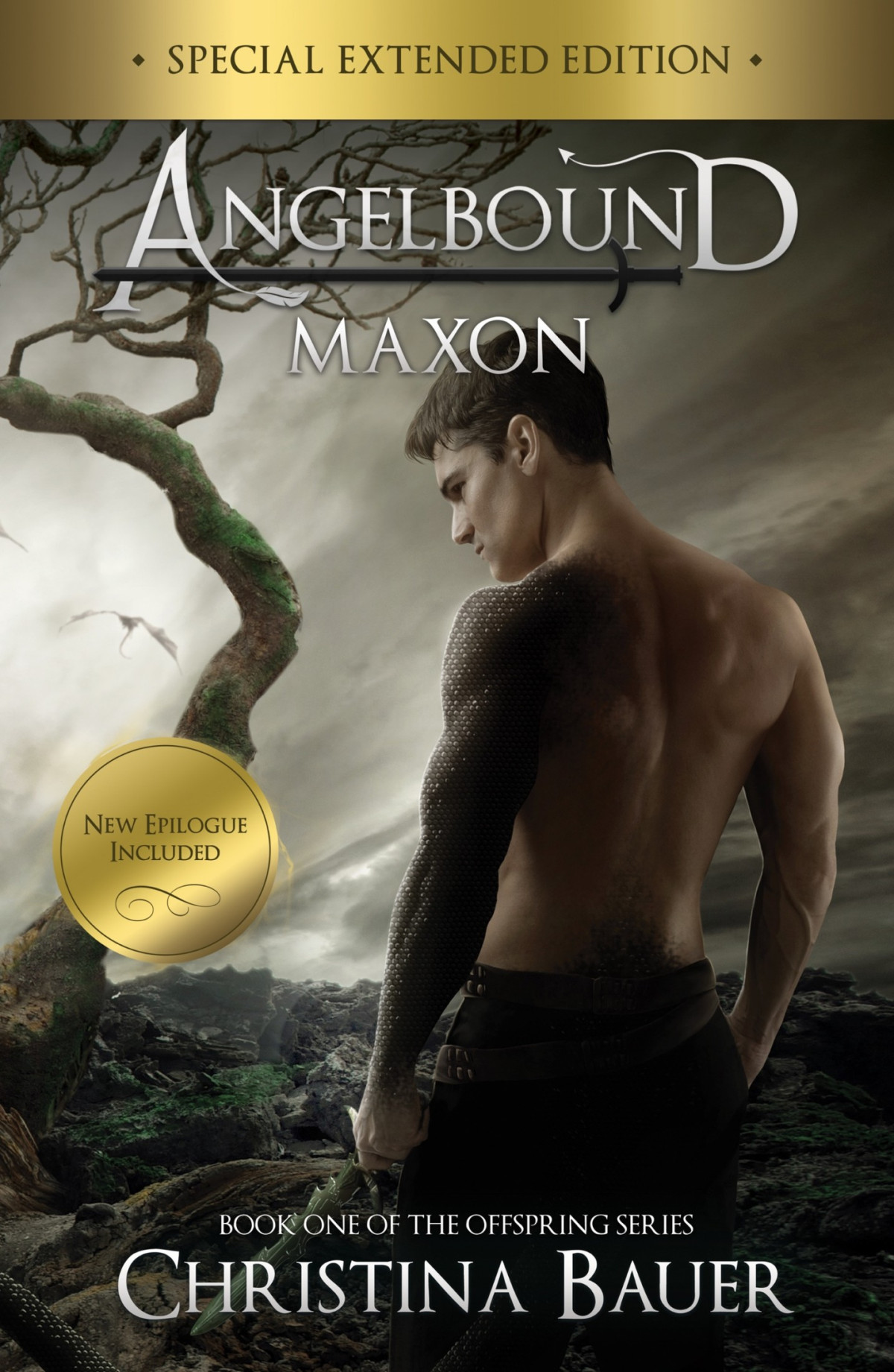Maxon Special Extended Edition Christina Bauer Bauer Christina