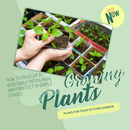 Growing Plants Plans For Your Kitchen Garden How To Develop A Vegetable Patch Basil And Fruitlet In Simple Stages Belloli Publishing