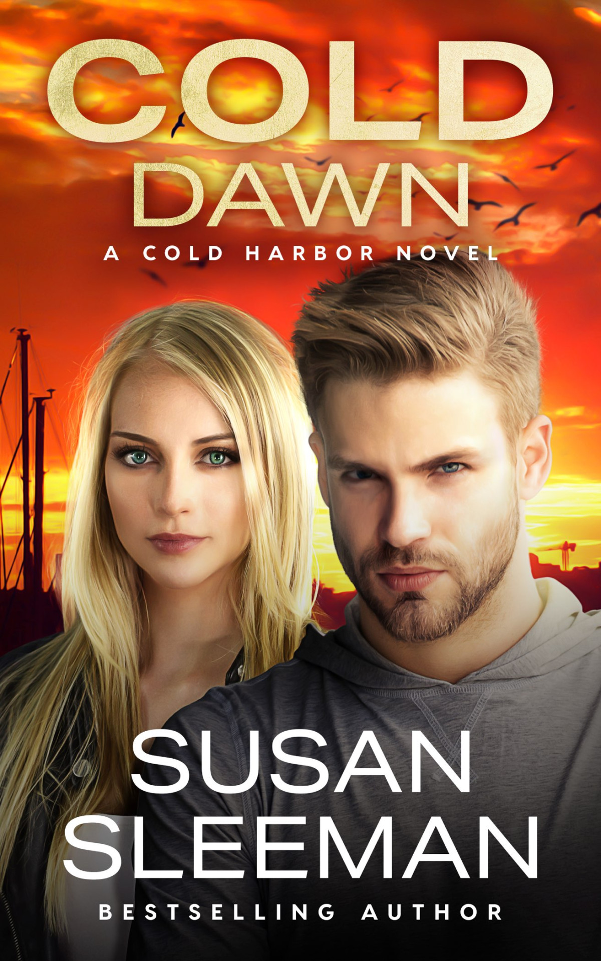 Cold Dawn Susan Sleeman Sleeman Susan