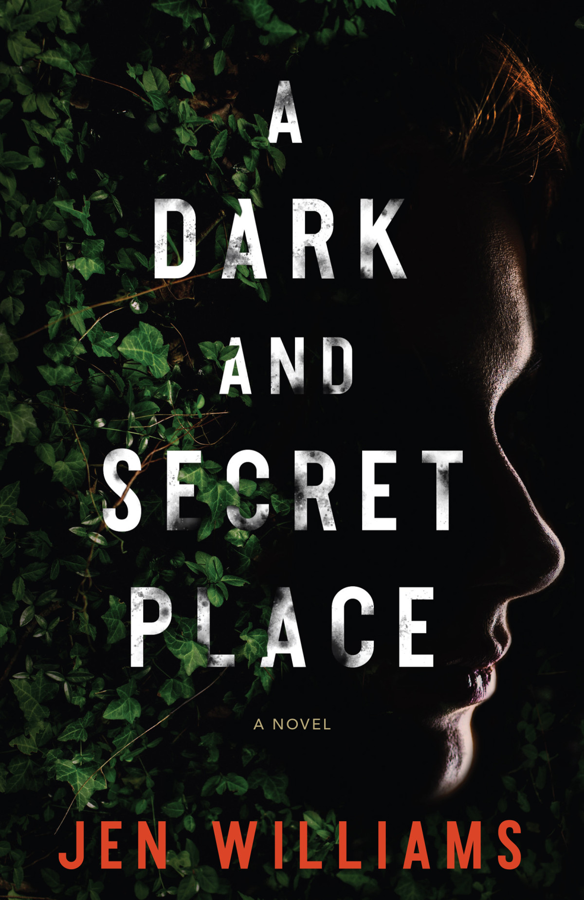 A Dark And Secret Place Jen Williams