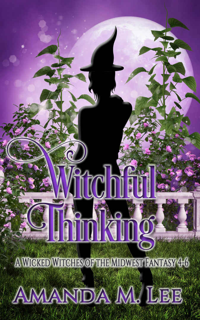 Witchful Thinking Wicked Witches Of The Midwest Fantasy 46 Amanda M Lee