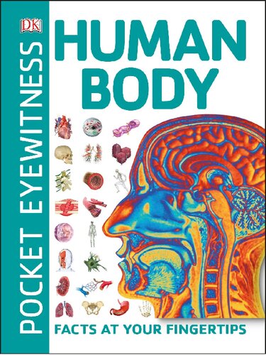 Pocket Eyewitness Human Body Facts At Your Fingertips Dk Publishing