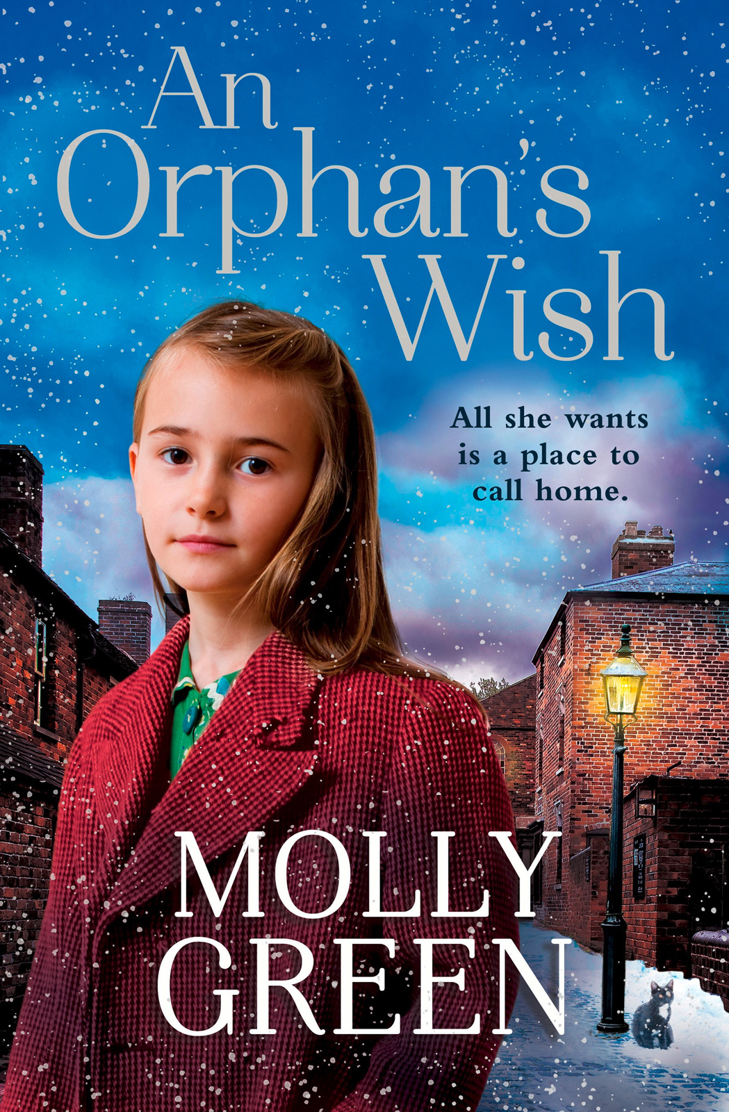An Orphans Wish Molly Green Green Molly