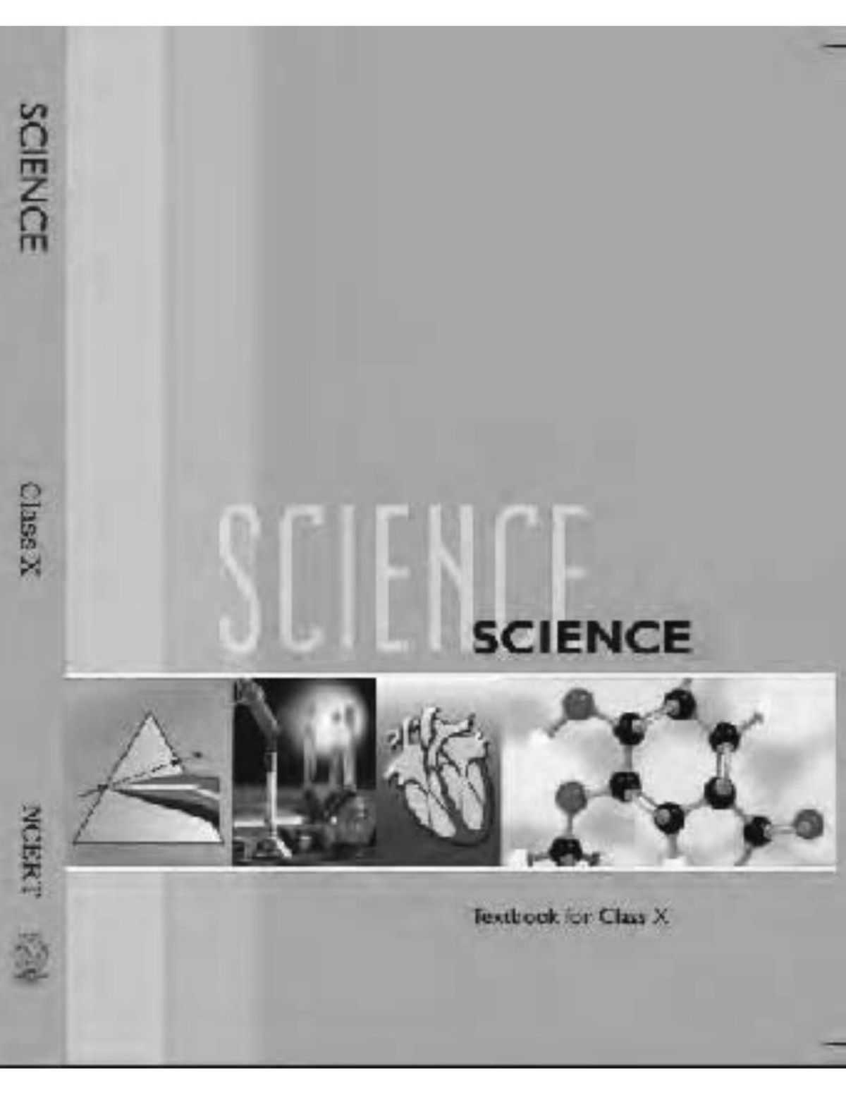 Science Ncert Of Class 10 Ncert