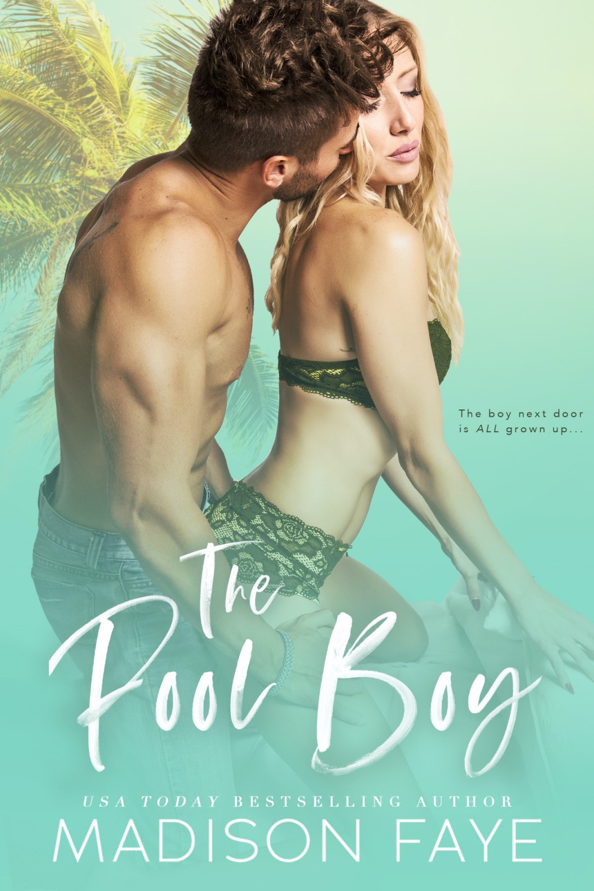 The Pool Boy Boys Of Summer 1 1st Edition Madison Faye