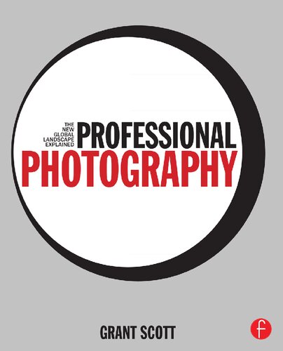 Professional Photography The New Global Landscape Explained Grant Scott