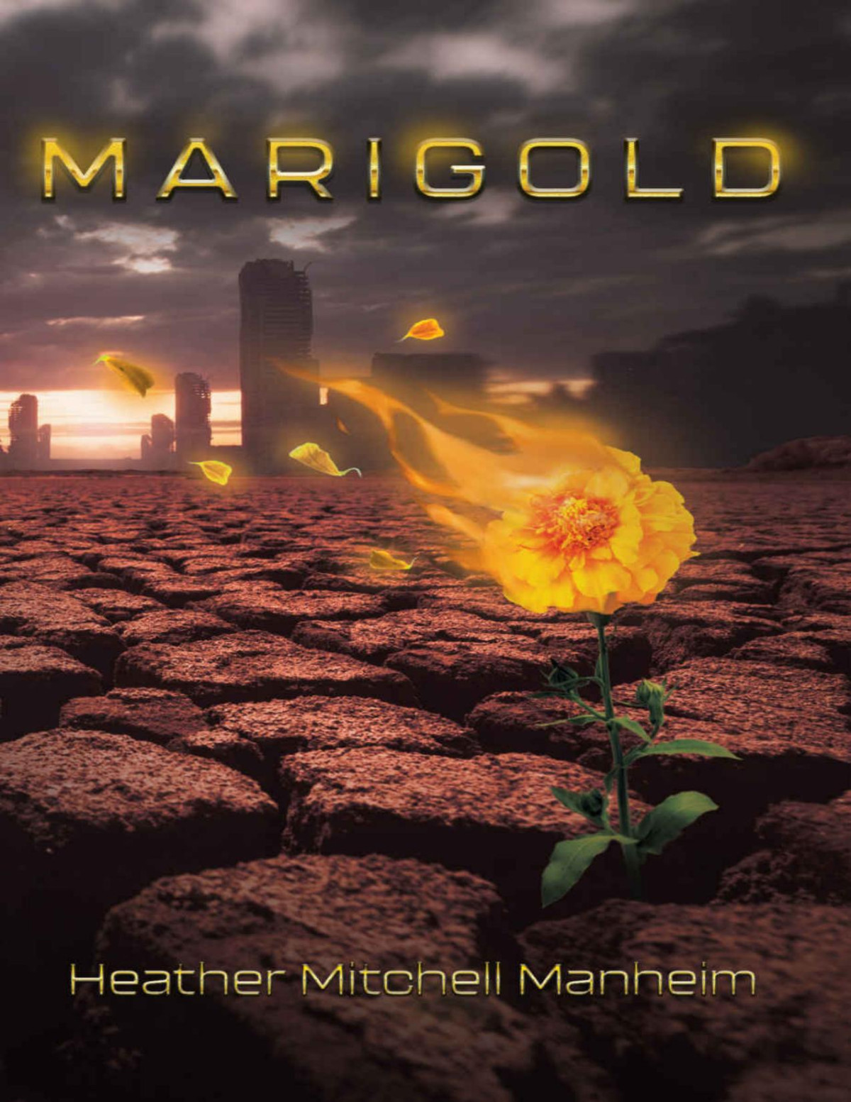 Marigold Heather Mitchell Manheim Mitchell Manheim Heather