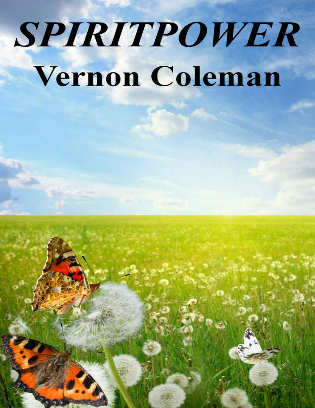 Spiritpower How To Find Freedom And Give Meaning To Your Life Vernon Coleman