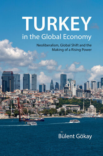 Turkey In The Global Economy Neoliberalism Global Shift And The Making Of A Rising Power Blent Gkay