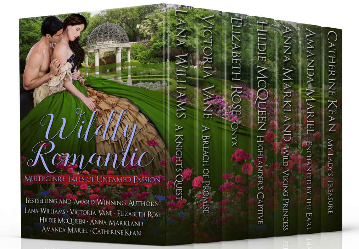 Wildly Romantic A Multigenre Collection Lana Williams Victoria Vane Elizabeth Rose Hildie Mcqueen Anna Markland Amanda Mariel Catherine Kean Williams
