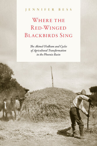 Where The Redwinged Blackbirds Sing The Akimel Oodham And Cycles Of Agricultural Transformation In The Phoenix Basin Jennifer Bess