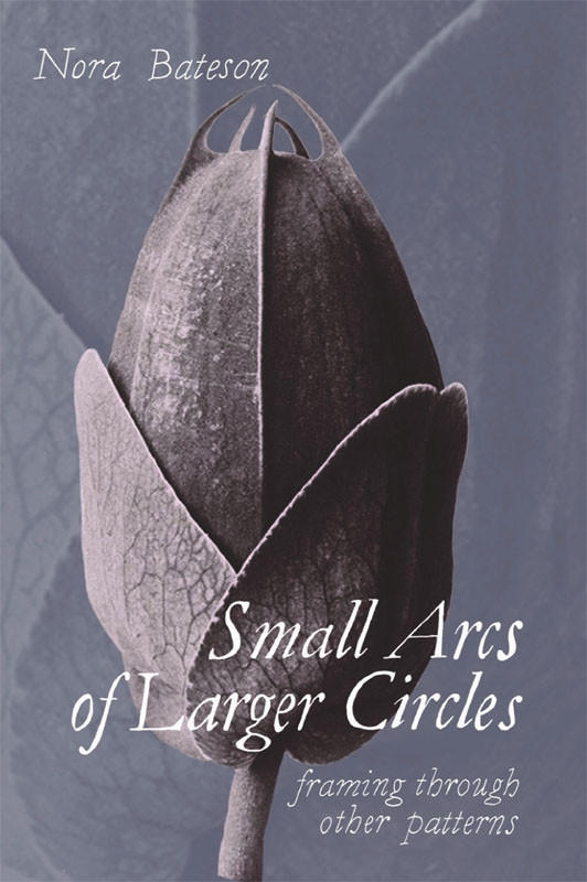Small Arcs Of Larger Circles Framing Through Other Patterns Nora Bateson