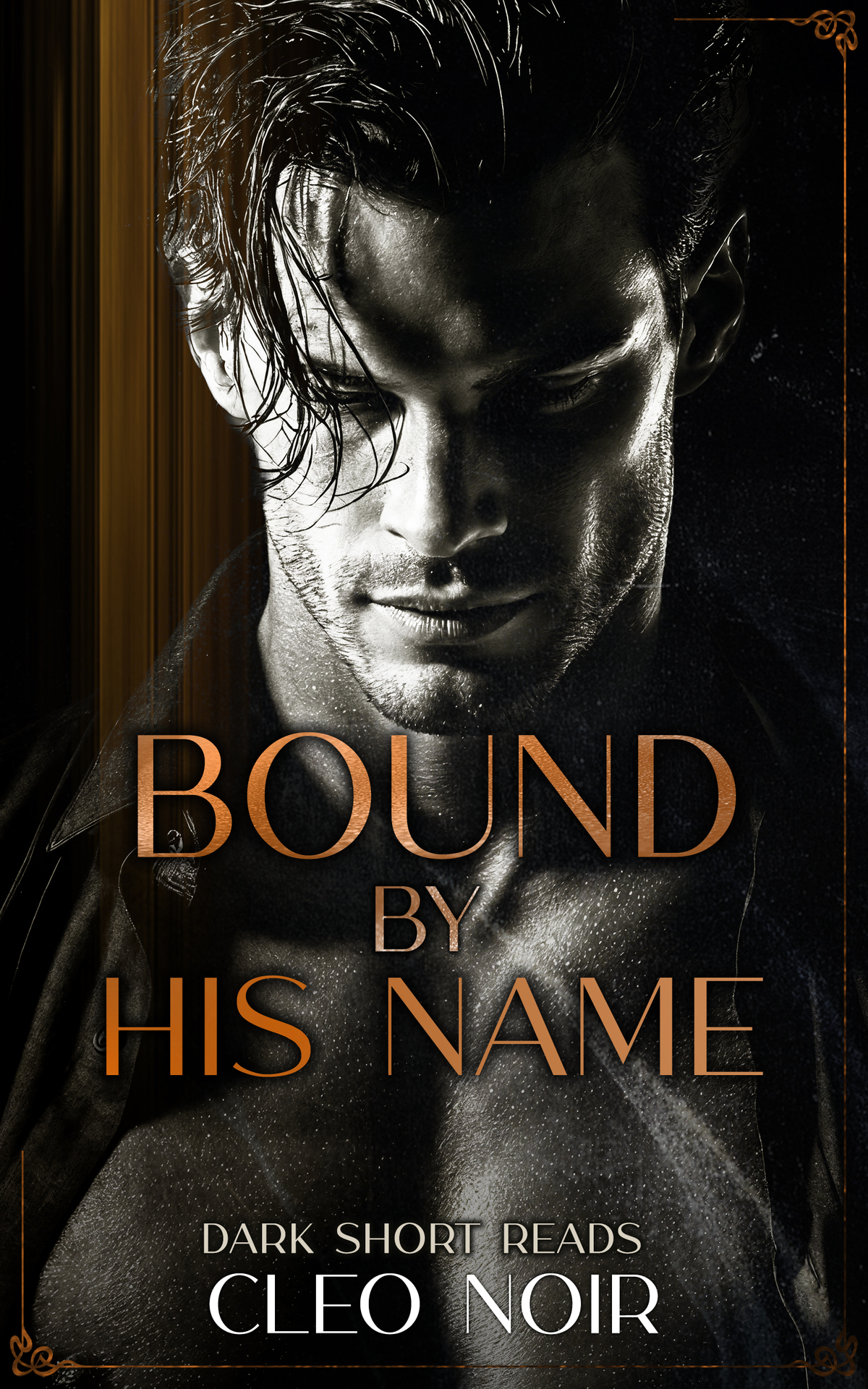 Bound By His Name Arranged Marriage Innocent Heroine Cleo Noir