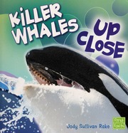 Killer Whales Up Close Rake Jody Sullivan