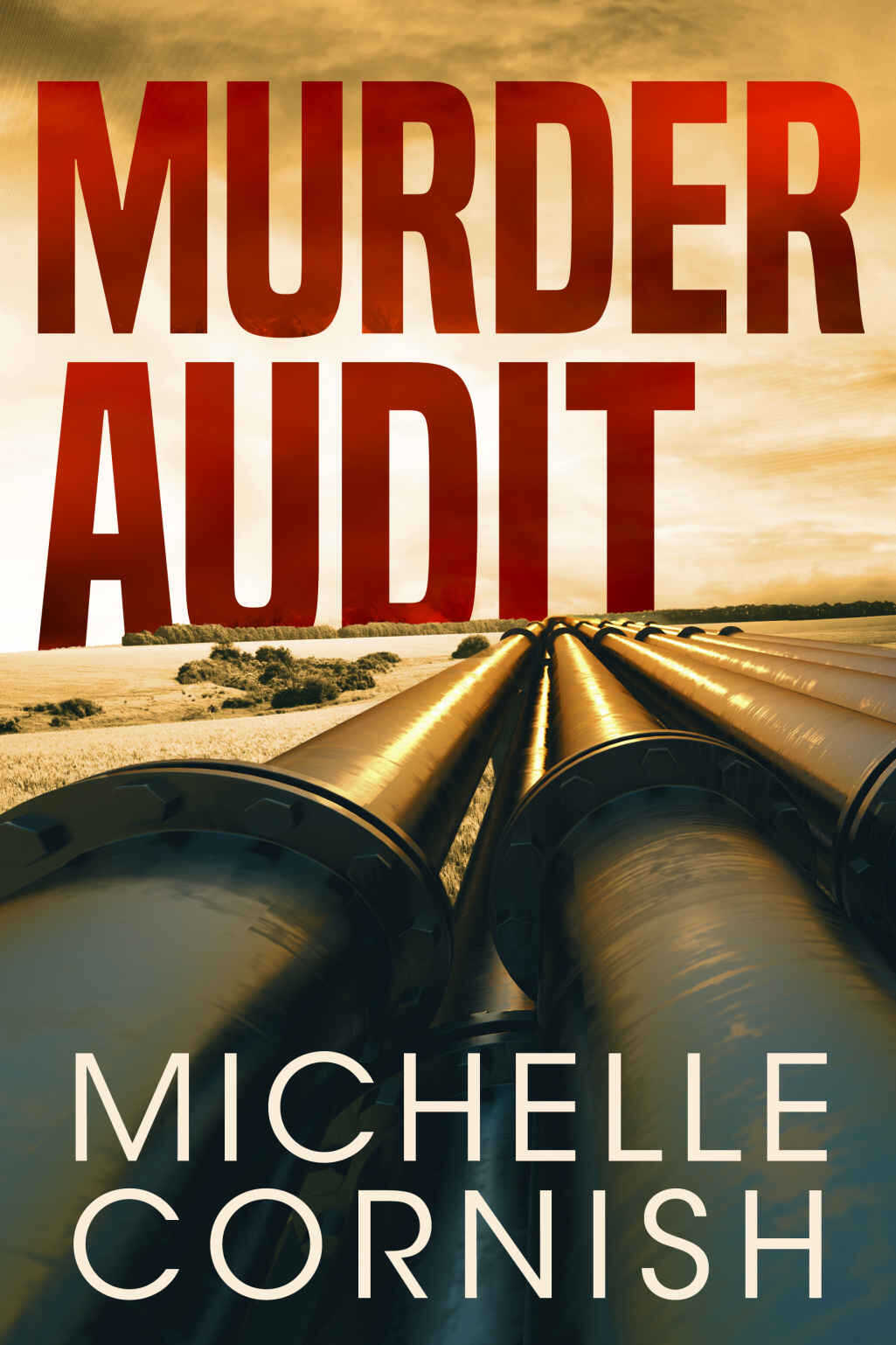 Murder Audit Cynthia Webber Book 1 Cornish Michelle