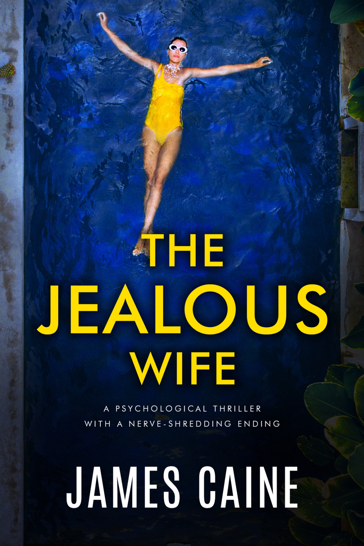 The Jealous Wife A Psychological Thriller With A Nerveshredding Ending Caine