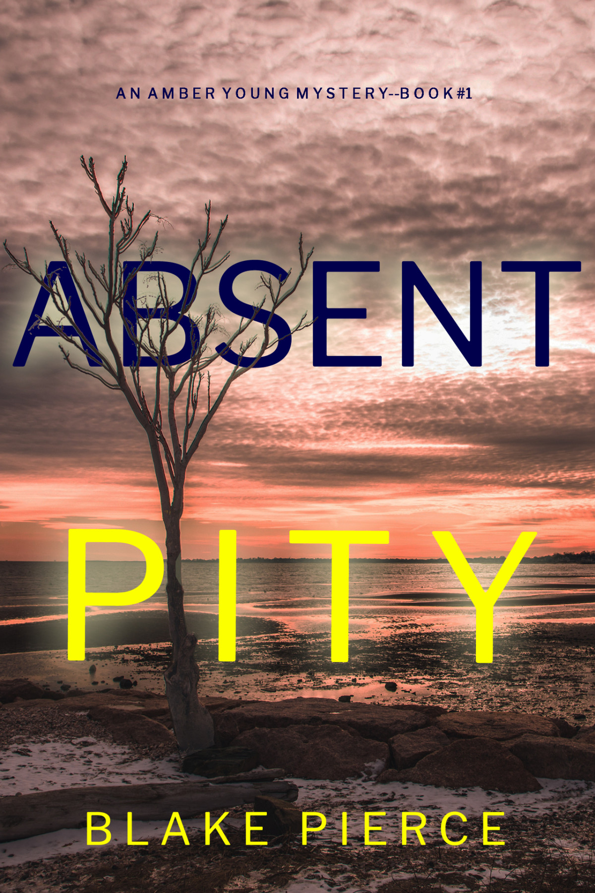 Absent Pity An Amber Young Fbi Suspense Thrillerbook 1 Pierce